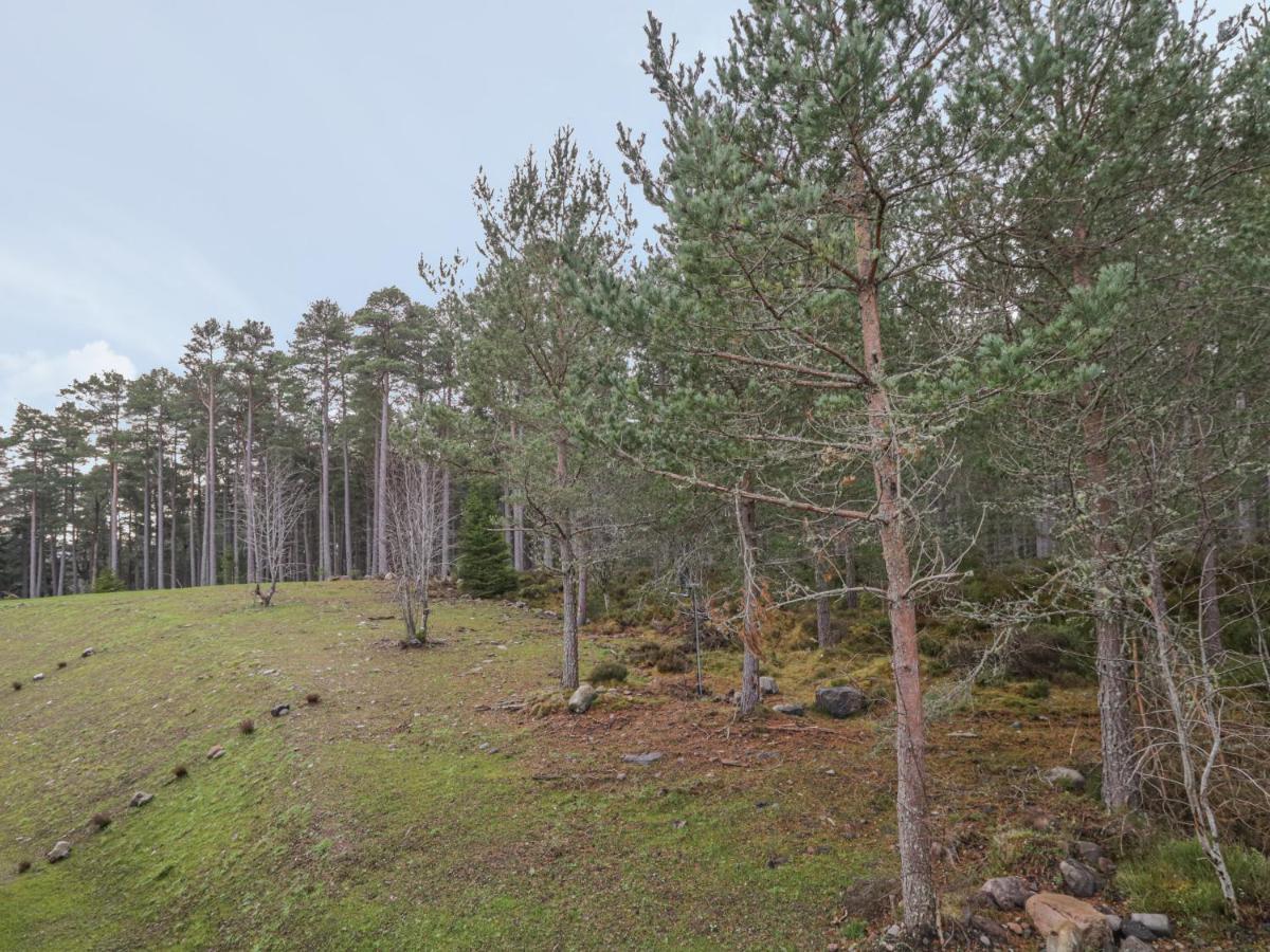 Osprey Apartment Kingussie Buitenkant foto